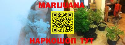 стаф Бузулук