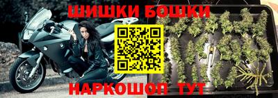 крисы Будённовск