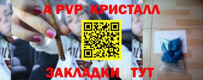 крисы Будённовск